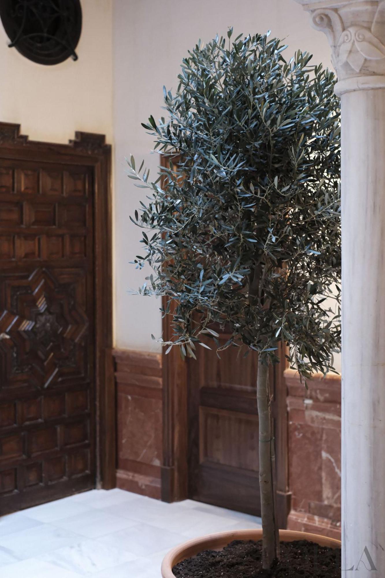 Fabulous Apartamento Para 4Pax En El Centro De Sevilla Dış mekan fotoğraf
